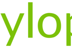 ylopo-logo-2725095358