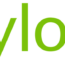 ylopo-logo-2725095358